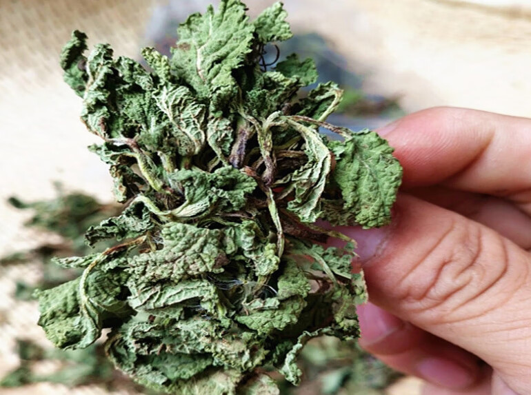 野生蛤蟆草茶癞荔枝草茶叶特级中药材新鲜蛤蟆草干叶泡茶2罐【图片