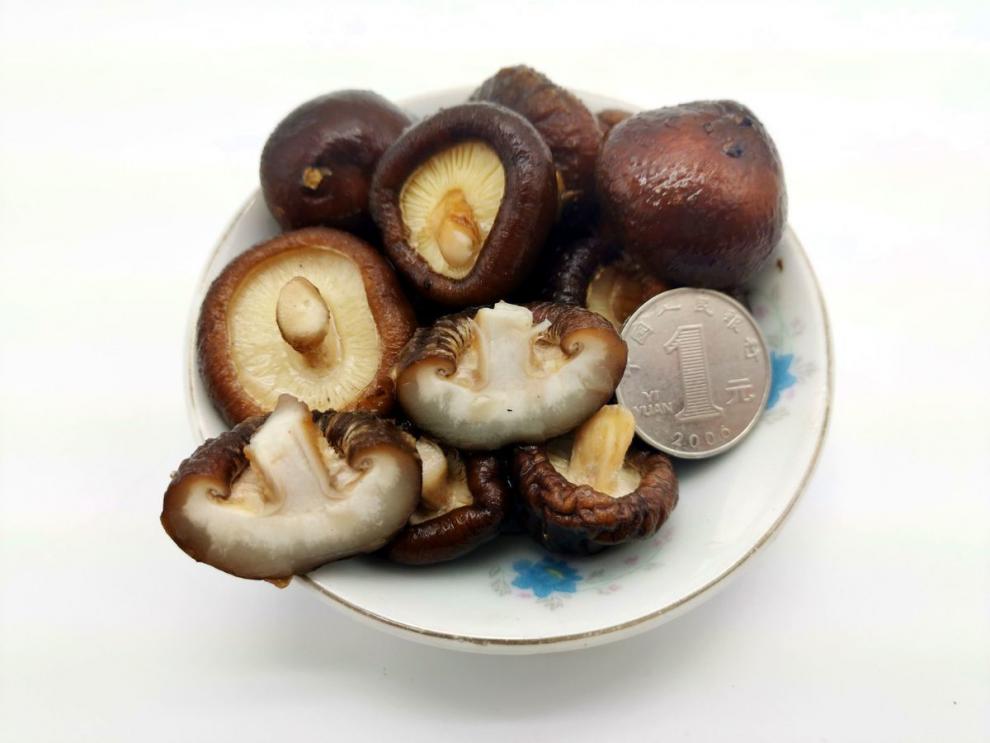 小香菇特小干货批发袖珍迷你小香菇仔肉厚野生新货袖珍金钱香菇仔批发