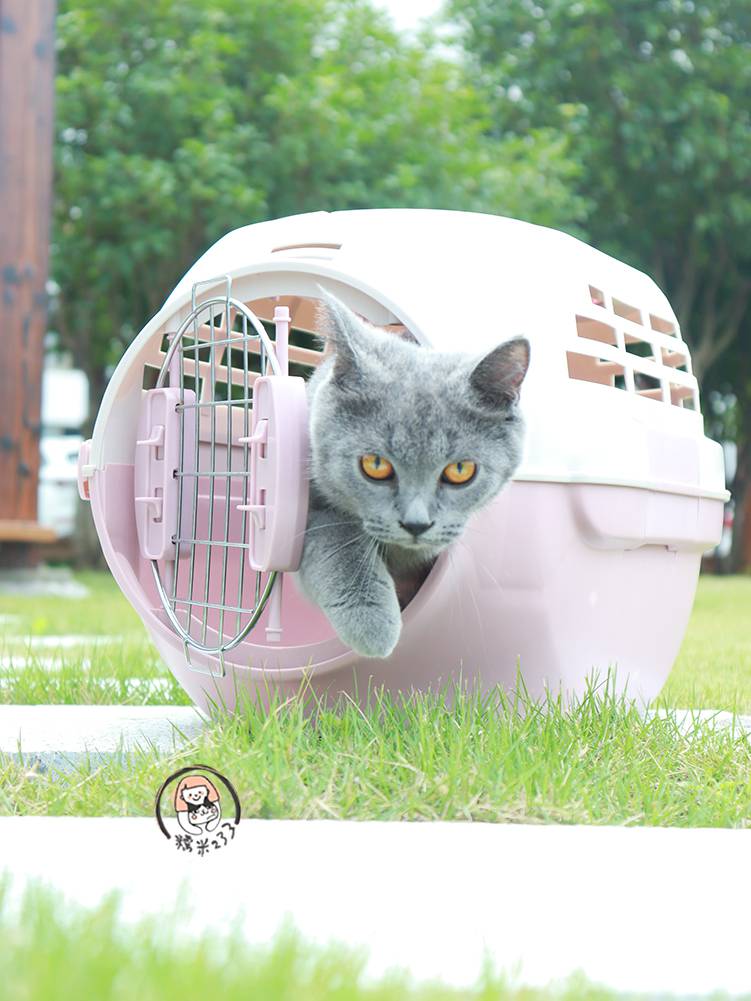 航空箱猫 宠物航空箱猫狗猫包手提便携龙猫咪笼子兔外出车载小型犬