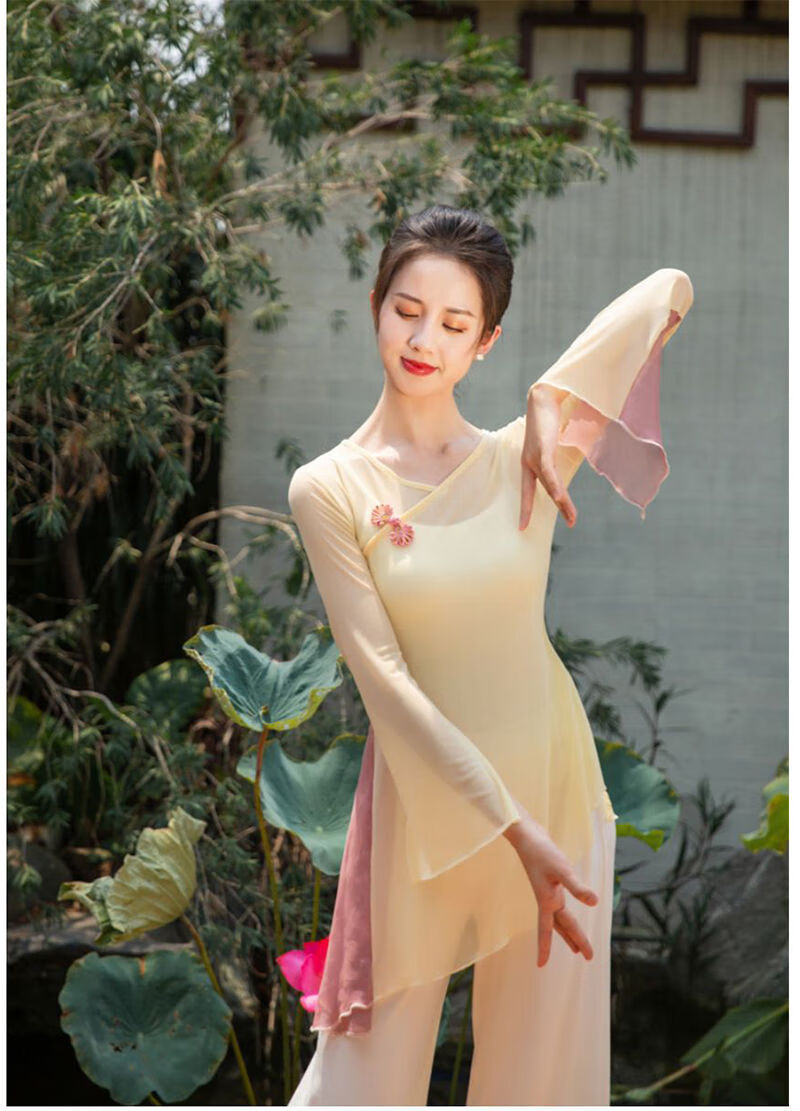服成人古典舞民族现代舞演出练功服上衣女成人纱衣舞蹈服装演出服装