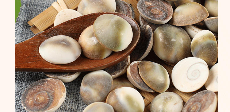 盛羿堂正宗甲香500g中药材批发水云母海月催生子另