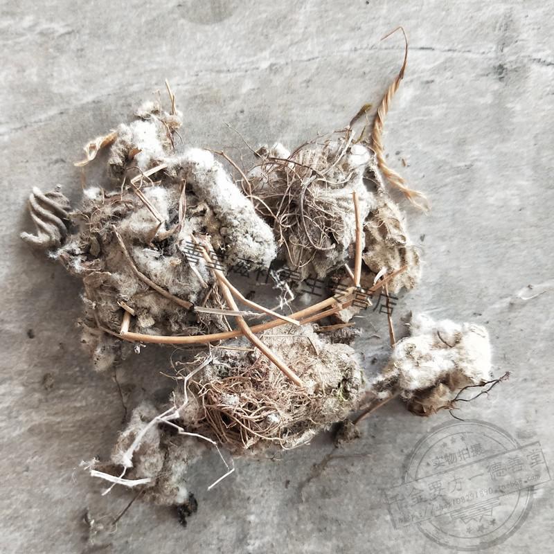 锦地罗 中药材怎地罗 文钱红 金线吊芙蓉 落地金钱 金钱花 50克【图片