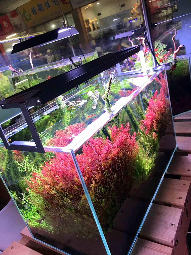 娜拉水草灯e系列led全光谱rgb促发色鱼缸灯草缸灯造景灯siccee300调光