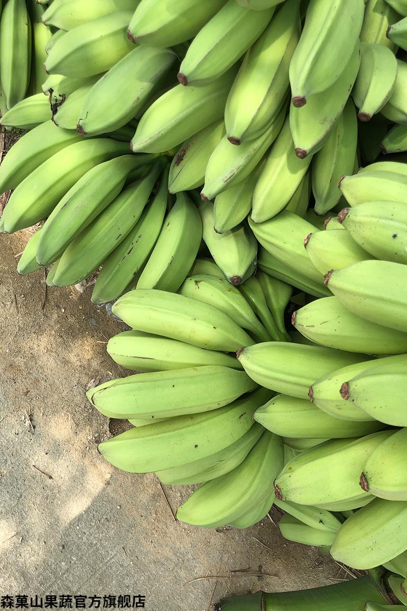 现摘广西大芭蕉新鲜香蕉10斤带箱酸甜大芭蕉巴蕉牛蕉4500g
