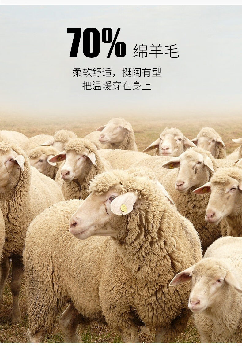 d44064c6a441fb2c.jpg