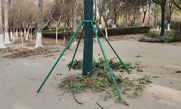 树木支撑架固定器园林苗木防风支架树木支撑杆树撑固定器镀锌钢管树