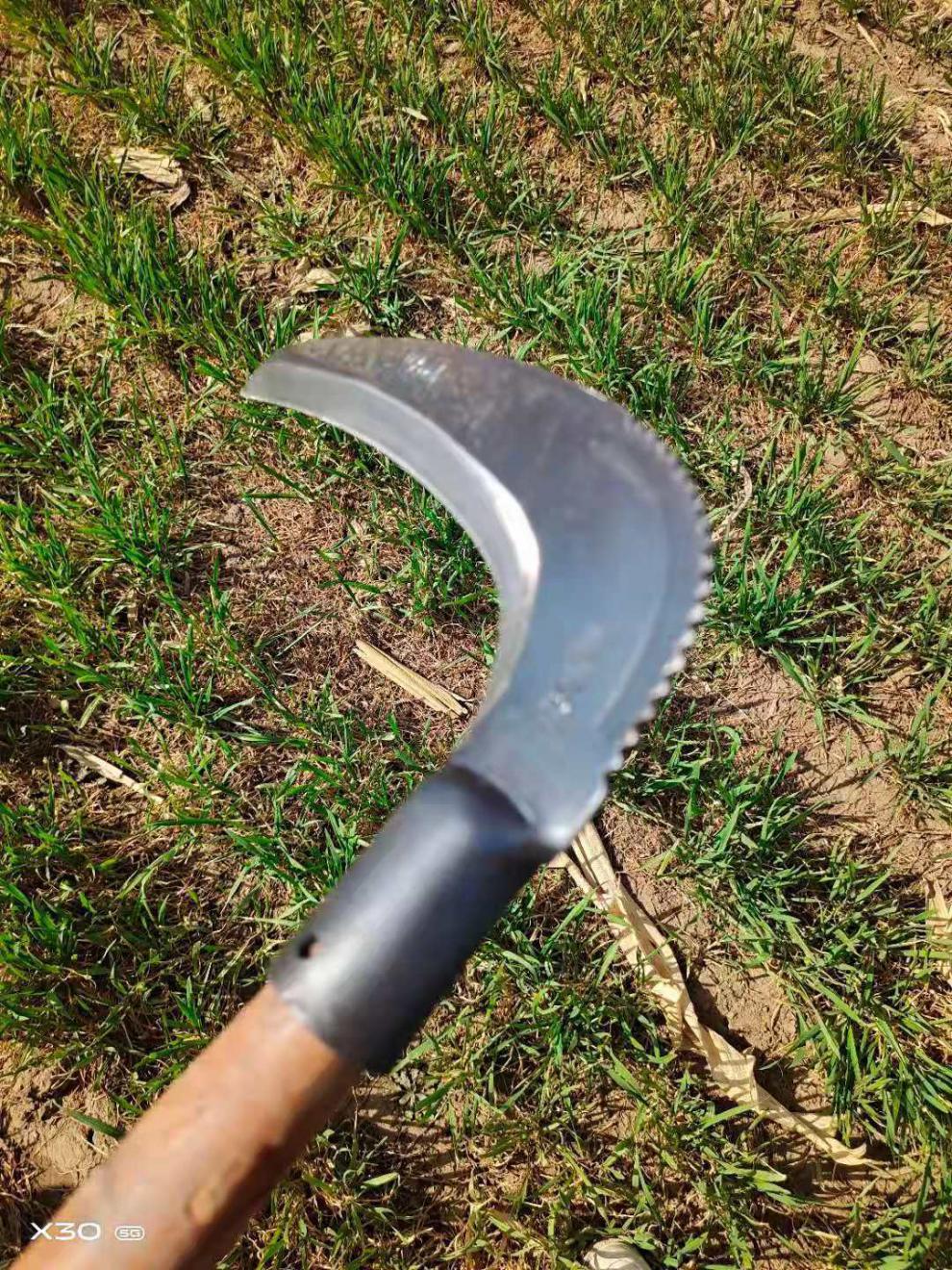 锻打牧草镰柴镰刀割草刀农用割草镰刀北方大镰刀钐镰弯钩刀开钐镰