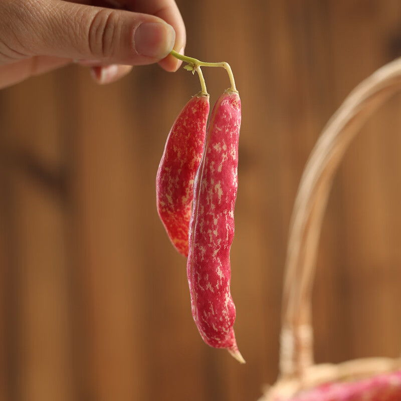 早告白 东北黄金勾豆角 现摘新鲜黄金钩红金勾八月忙油豆角特产蔬菜