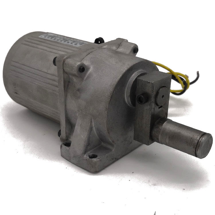 摇摇车电机马达新款摇摇车电机摇摆机马达yyjt-83 25w减速电机驰野