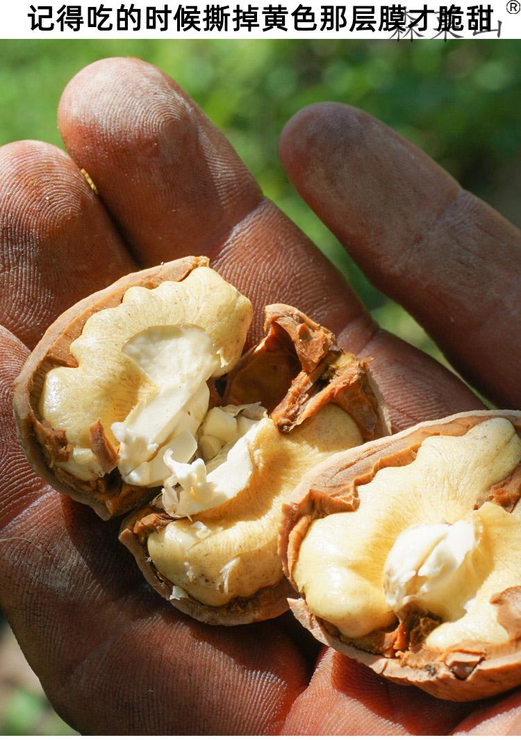 顺丰湿核桃新鲜四川大凉山去青皮核桃老树生核桃薄皮生湿嫩山核桃鲜