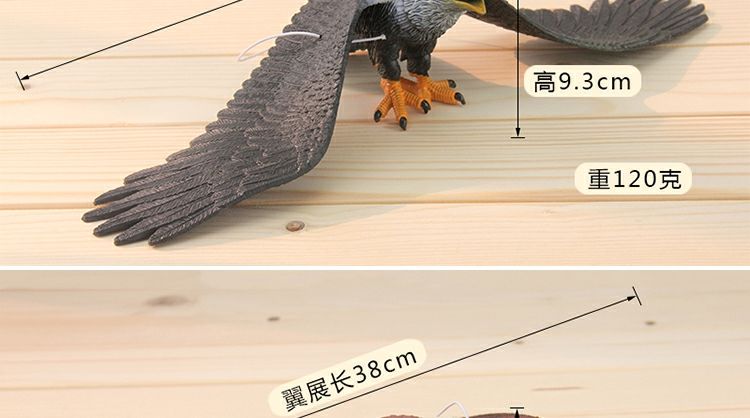 果園菜園嚇鳥驅鳥大號仿真老鷹模型塑膠仿真動物飛禽 大號老鷹棕色款