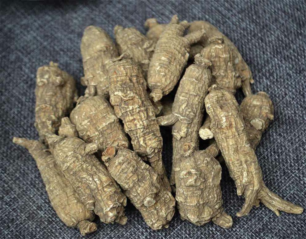 年货节瑞氏山美国花旗参进口西洋参段花旗参片整枝含片西洋参切片113