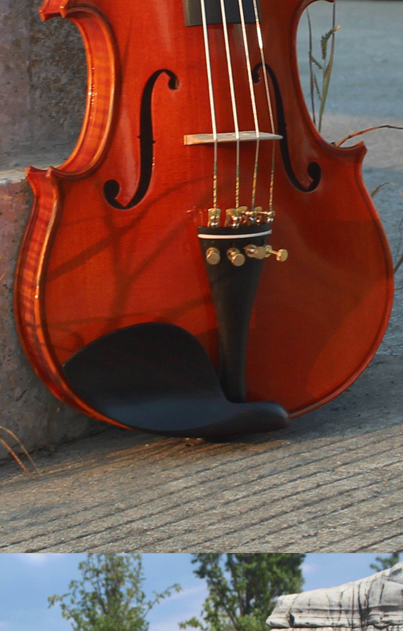 成人专业演奏级小提琴爱琴海纯手工小提琴european初学考级进口欧料