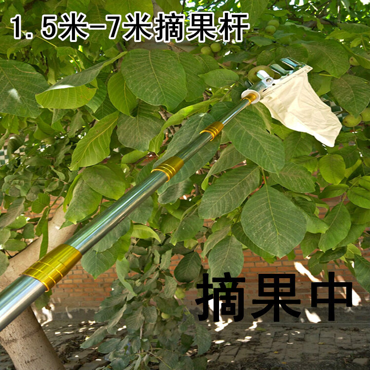 摘柿子的神器 加厚7米高空摘果器神器勾水果采摘器伸缩杆高枝果树采果