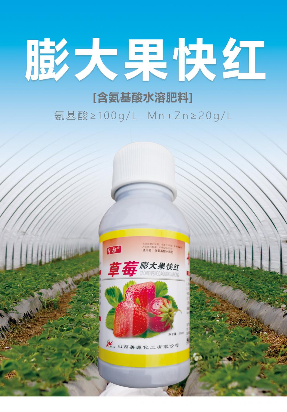 草莓叶面肥草莓膨果膨大果快红草莓用膨大素催红膨大剂草莓膨果着色不