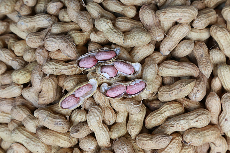 铁锅现炒原味大花生生花生小珍珠花生小花生小粒小珍珠生花生5斤超值