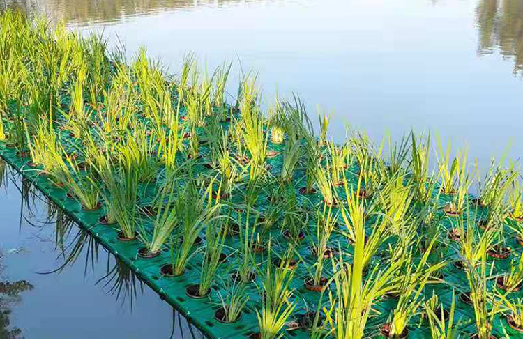 森嶽浮島水上浮床池塘造景水稻種植魚菜共生 鏤空花盆【圖片 價格