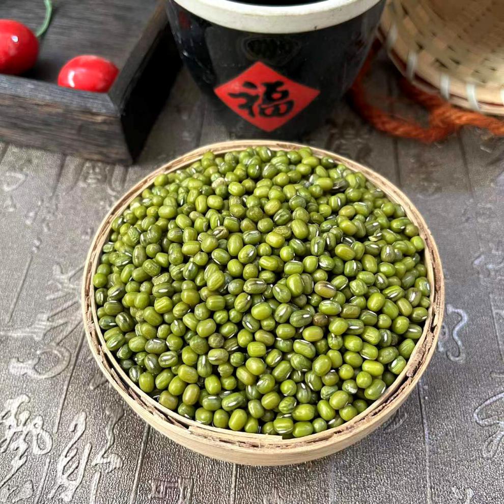 绿豆500g一斤绿豆发豆芽专用笨绿豆明杂粮熬粥绿豆汤材料大粒食用