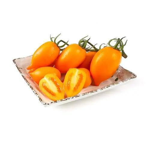 东北黑土地黄罗曼柿子黄柿子皮薄肉嫩低糖多汁现摘现发3斤黄罗曼番茄