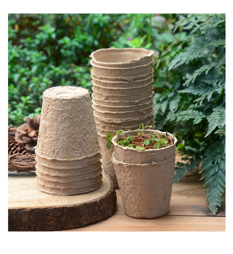 纸浆育苗杯营养盆可降解育苗钵培育盆一次性885营养杯育种盆虎雀aa