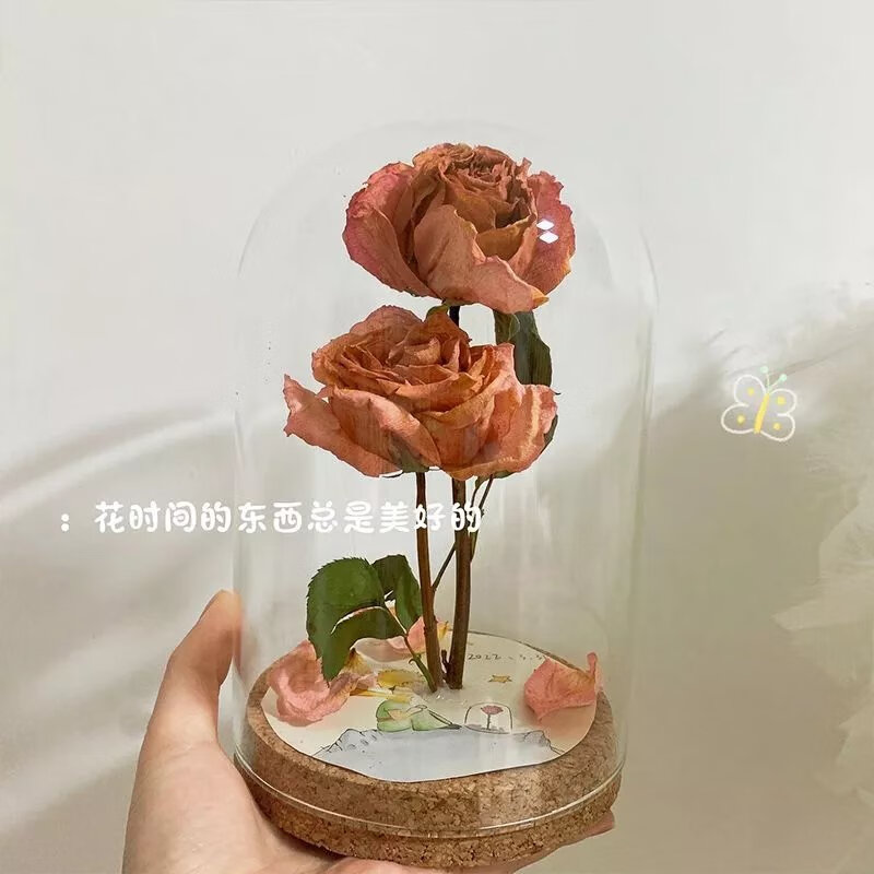 3，【精選】永生花軟木塞玻璃罩擺件diy手工積木花乾花玻璃罩展示盒 球形10cm. 透明玻璃罩+品質軟木塞+送熱熔膠