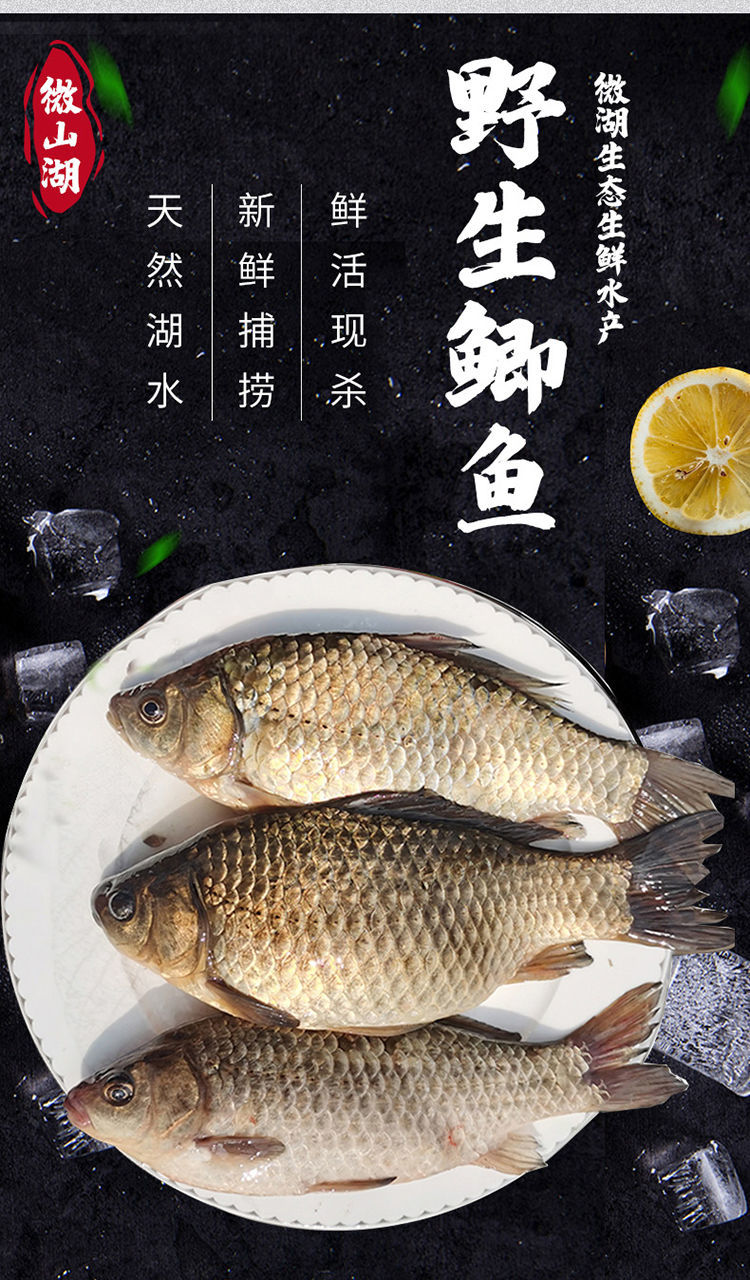 微山湖野生新鲜活鲫鱼活体炖汤儿童中老年现杀淡水鱼六斤装一斤46条