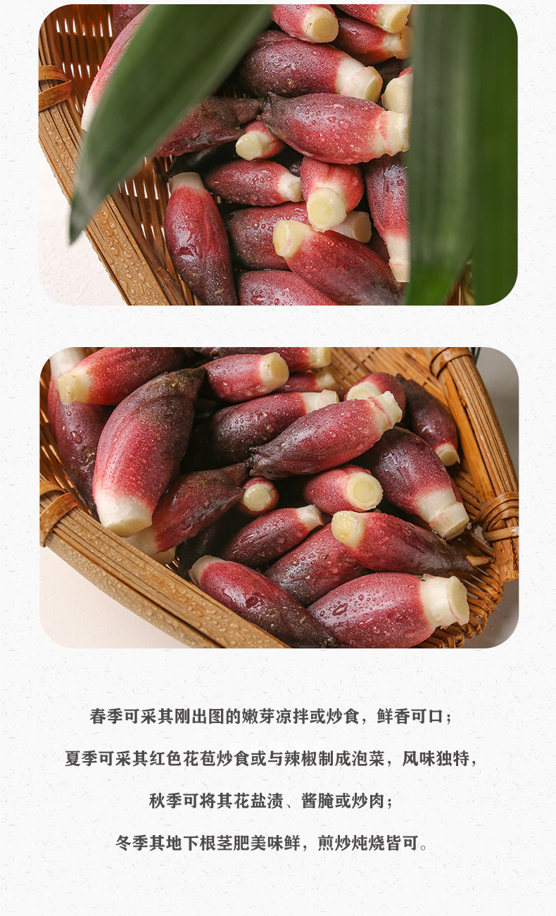 大地果缘 现摘阳荷新鲜 新鲜洋荷姜野生阳荷茗荷洋火洋荷莲花姜洋姜洋