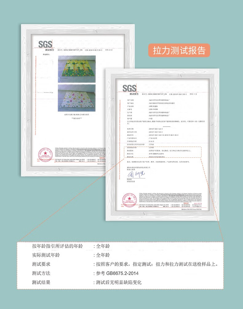 c49d115666efe94f.jpg
