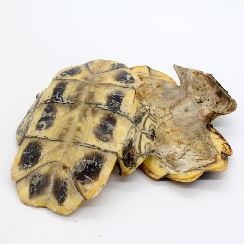 同仁堂中药材特级龟板龟甲整个生龟甲乌龟壳乌龟板500克
