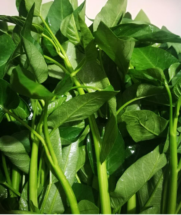 空心菜新鲜2斤3斤重庆农家藤藤菜蕹菜蓊菜通心菜无
