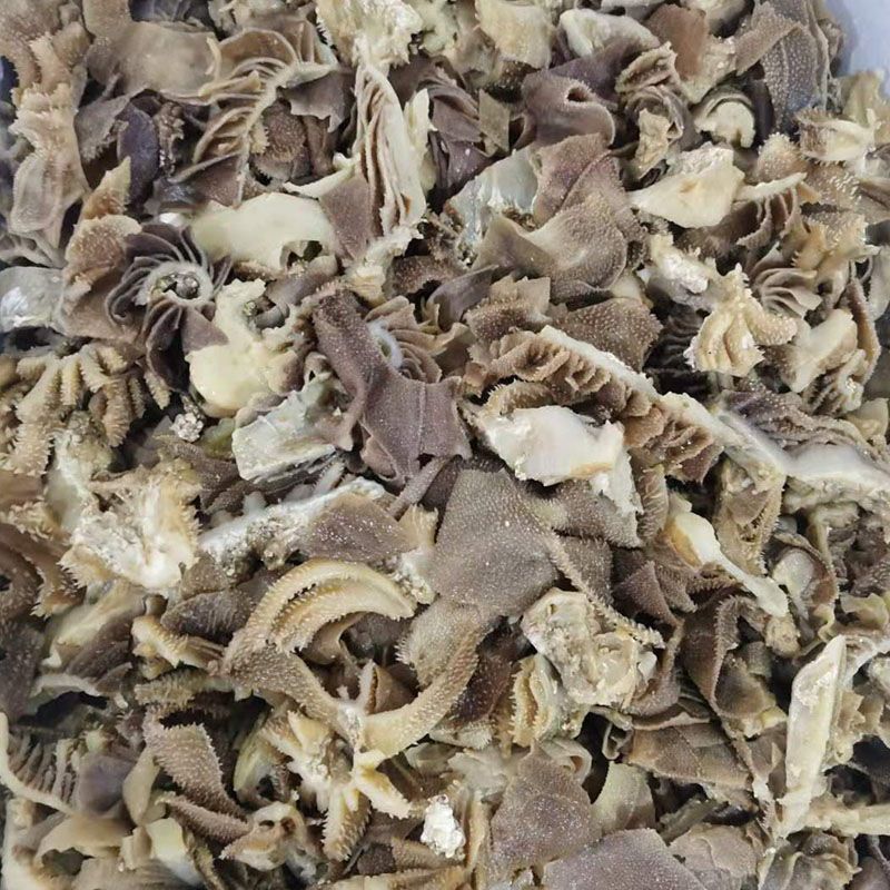 恬女神毛肚肚头边角料牛毛肚头新鲜水发毛肚七成熟牛百叶千层肚重量含