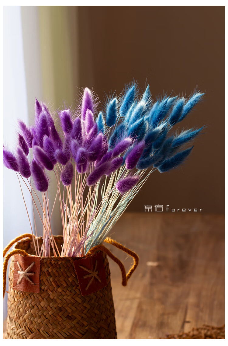 悦商宏风干真花兔尾草干花桌面装饰摆设小清新花束搭配彩色狗尾巴草花