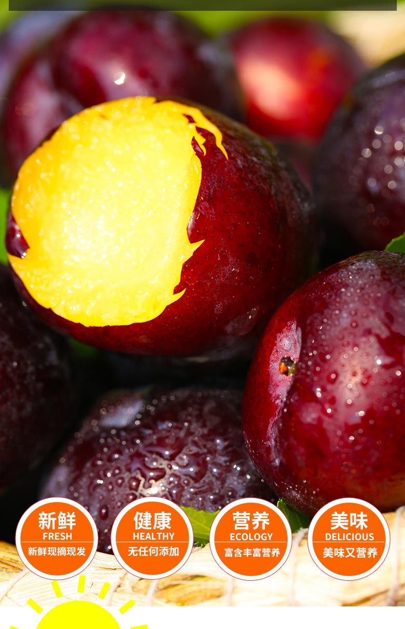 陕西黑布林李子10斤5斤现摘现发应当季新鲜孕妇水果恐龙蛋10斤大果