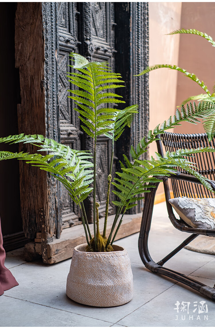 禾佳成 仿真盆景植物观音莲座蕨树盆栽禅意绿植物造景装饰大型摆件