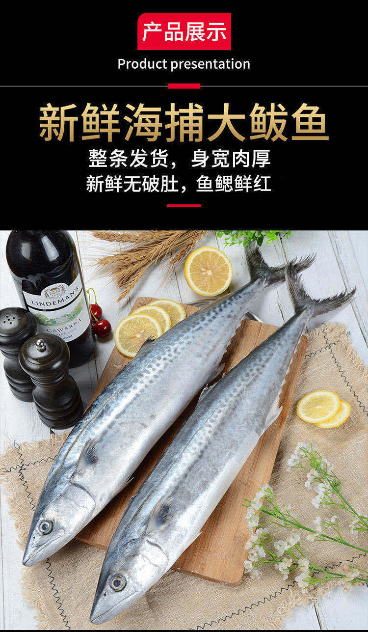 锦蜜姬青岛大鲅鱼冷冻鲜活燕鲅鱼大马鲛鱼馅饺子深海鱼大号鲐鲅鱼3斤