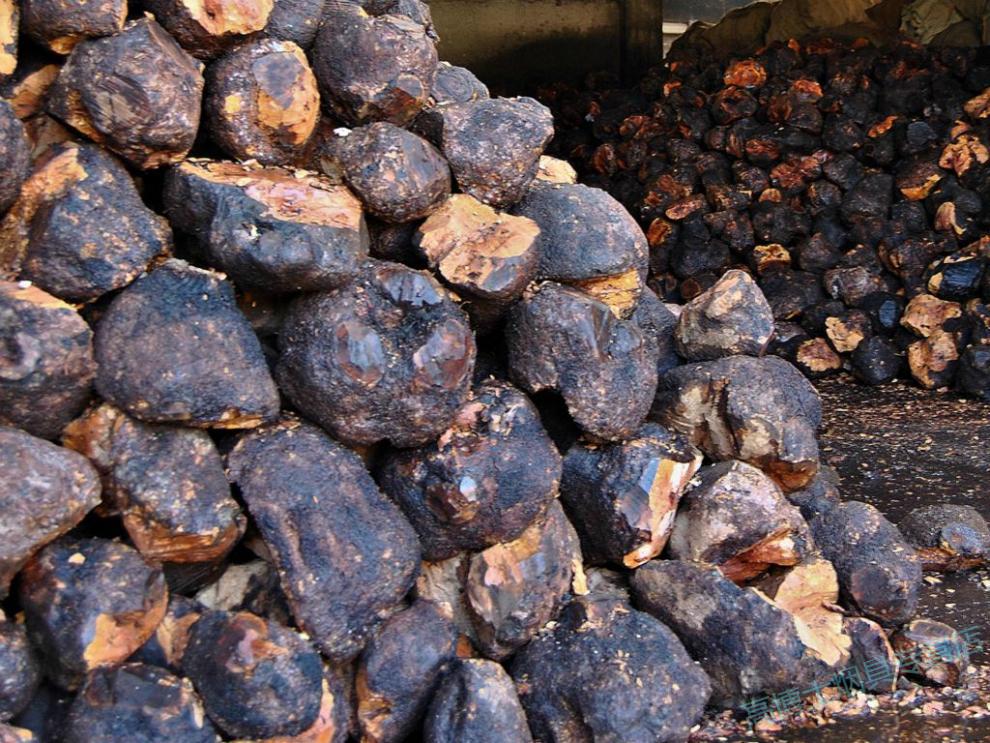 意大利石楠木块木料 石楠木根瘤 木块木料 中小料直斗料烟斗斗坯 中号