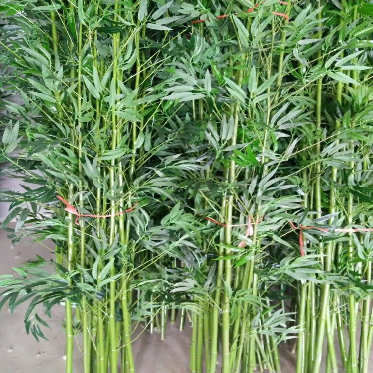 仿真金竹子仿真竹子婚庆金色竹子橱窗舞台装饰加密金竹叶绿植草坪 高