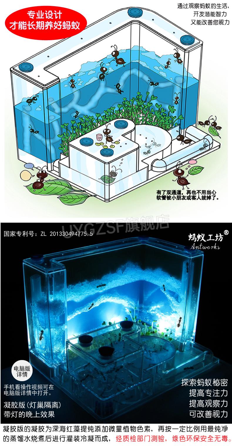 蚂蚁城堡 繁殖版 超大新款蚂蚁工坊宠物蚁后窝宫殿城堡家园别墅桌面活