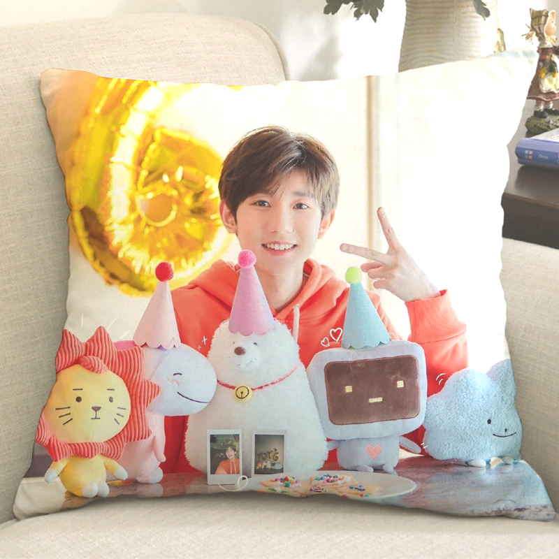 王源抱枕tfboys王源周边定制抱枕二字弟弟同款小汤圆应援海报玩偶创意