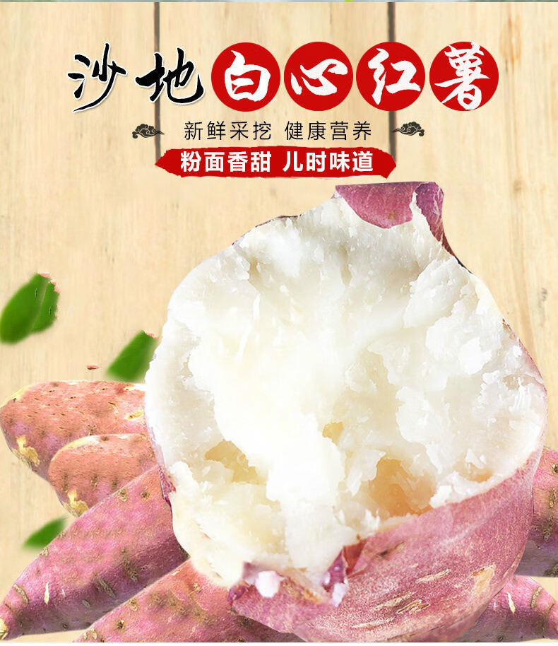 白心红薯板栗薯现挖现发农家老品种地瓜新鲜白瓤番薯精品小薯5斤净果