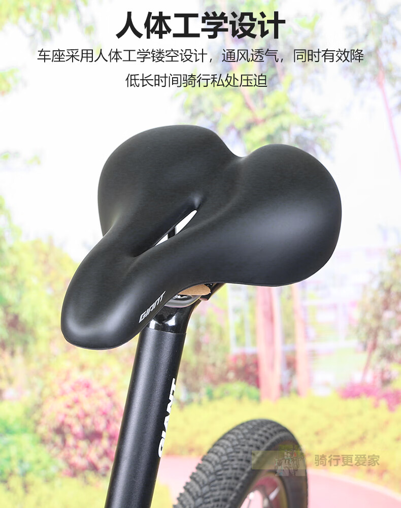 a55a55b505df86fa.jpg