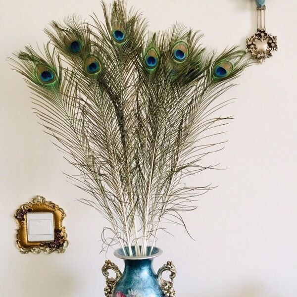 孔雀尾羽真孔雀羽毛翎尾25-120cm客厅装饰花瓶插花孔雀毛diy饰品 8根