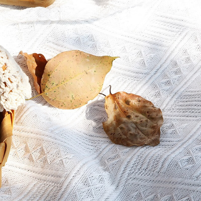 23948c21-4e9e-48c4-a2e1-4f4df1650246.jpe