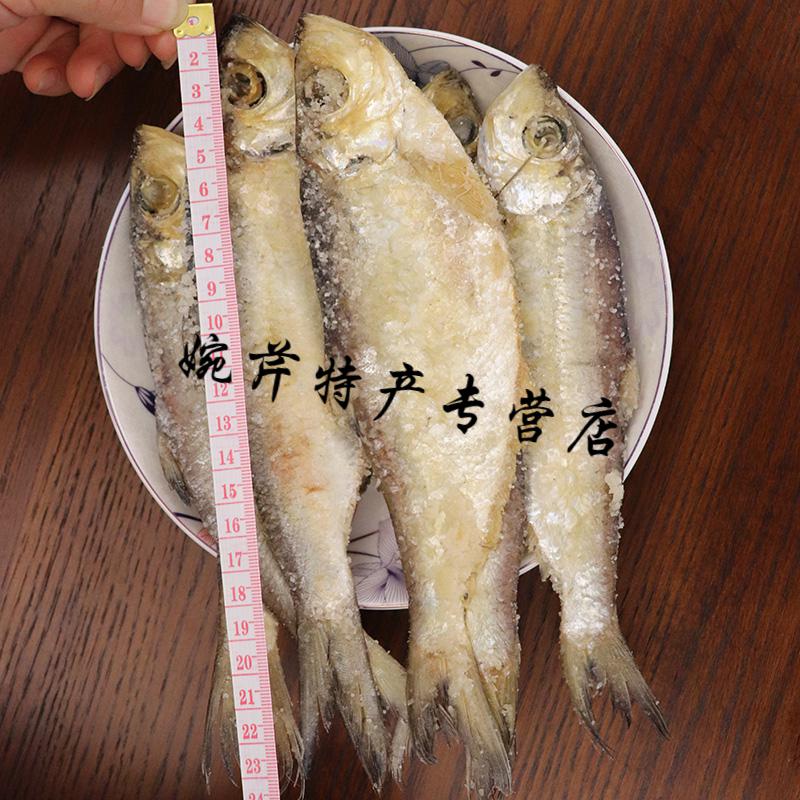 老寧波三刨鹹力魚梅香鹹魚鹹魚幹醃製臭香力魚鹹鰳魚白鱗魚鹹香魚 鱗