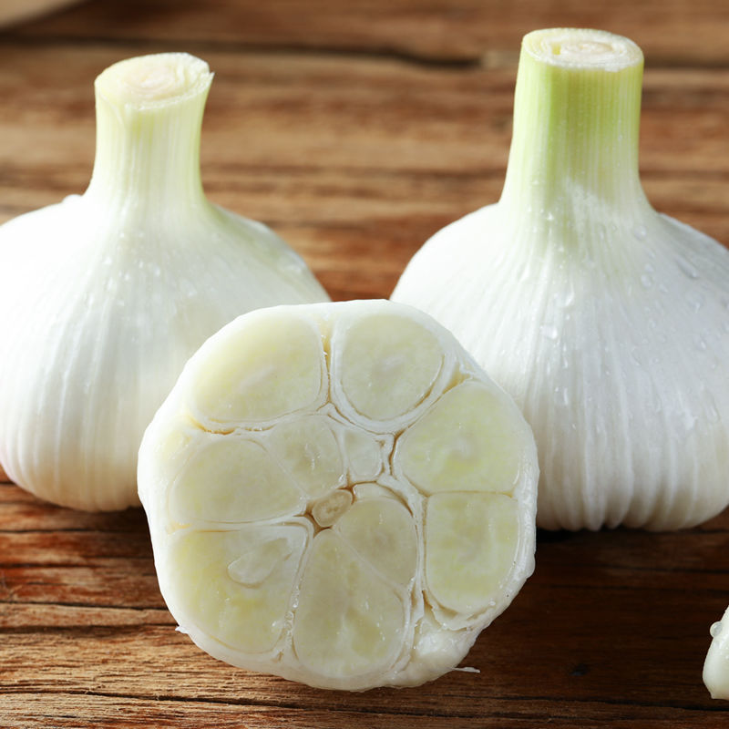 轻恋 山东正宗苍山新鲜大蒜现挖现发白皮青蒜嫩蒜积蒜腌糖醋蒜特产5斤