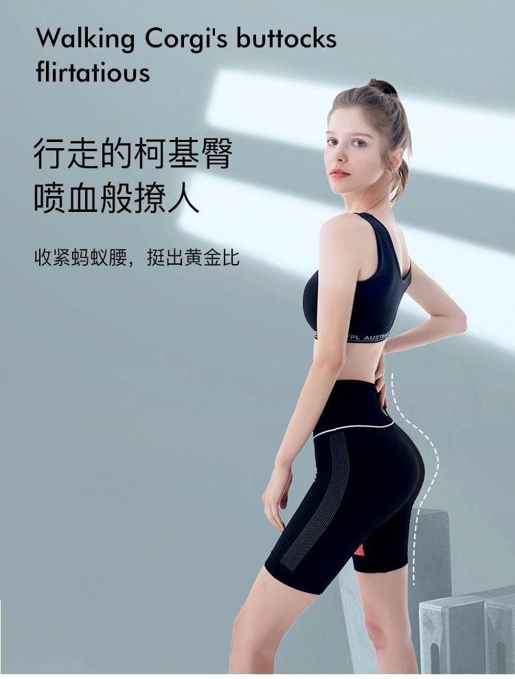ypl瑜伽裤澳洲ypl瘦身打底裤收腹塑身经典ai小狗裤3d瑜伽裤高弹紧身
