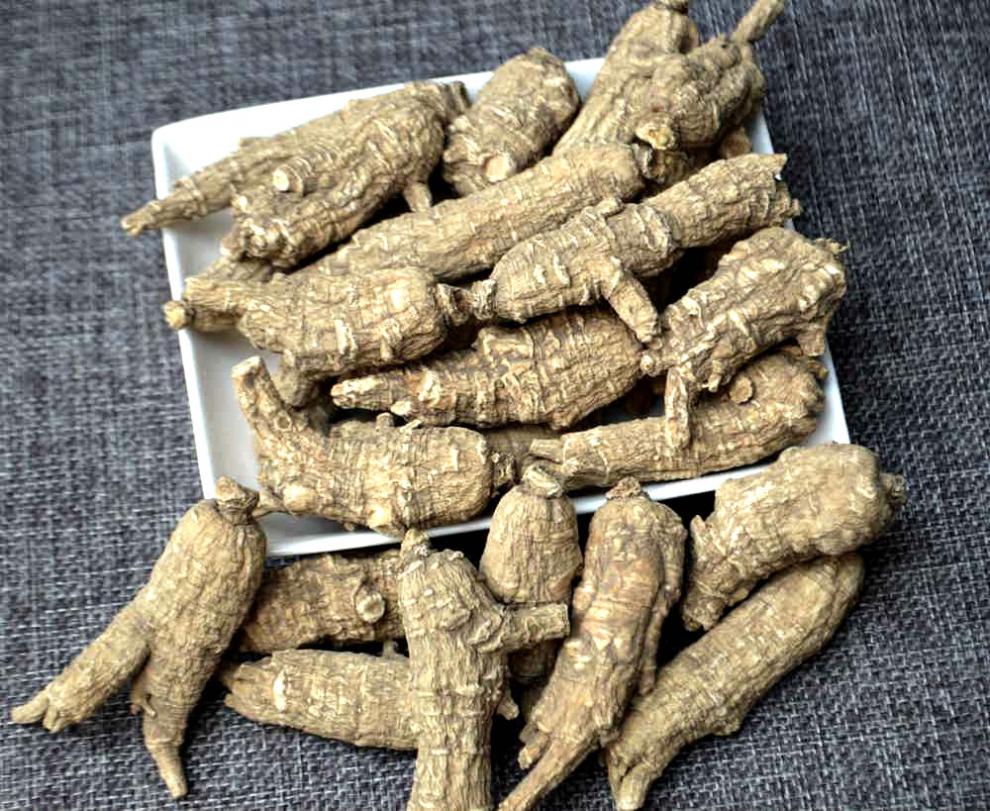 年货节瑞氏山美国花旗参进口西洋参段花旗参片整枝含片西洋参切片113