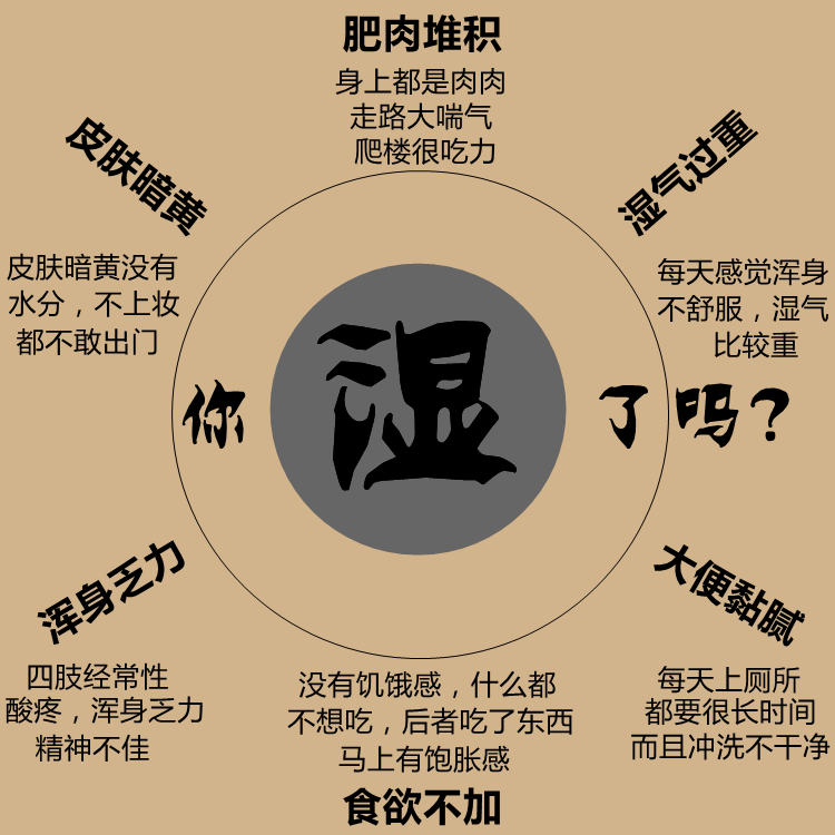 中药材六君子汤原料调理脾胃痰湿体质去体内湿茶四君子