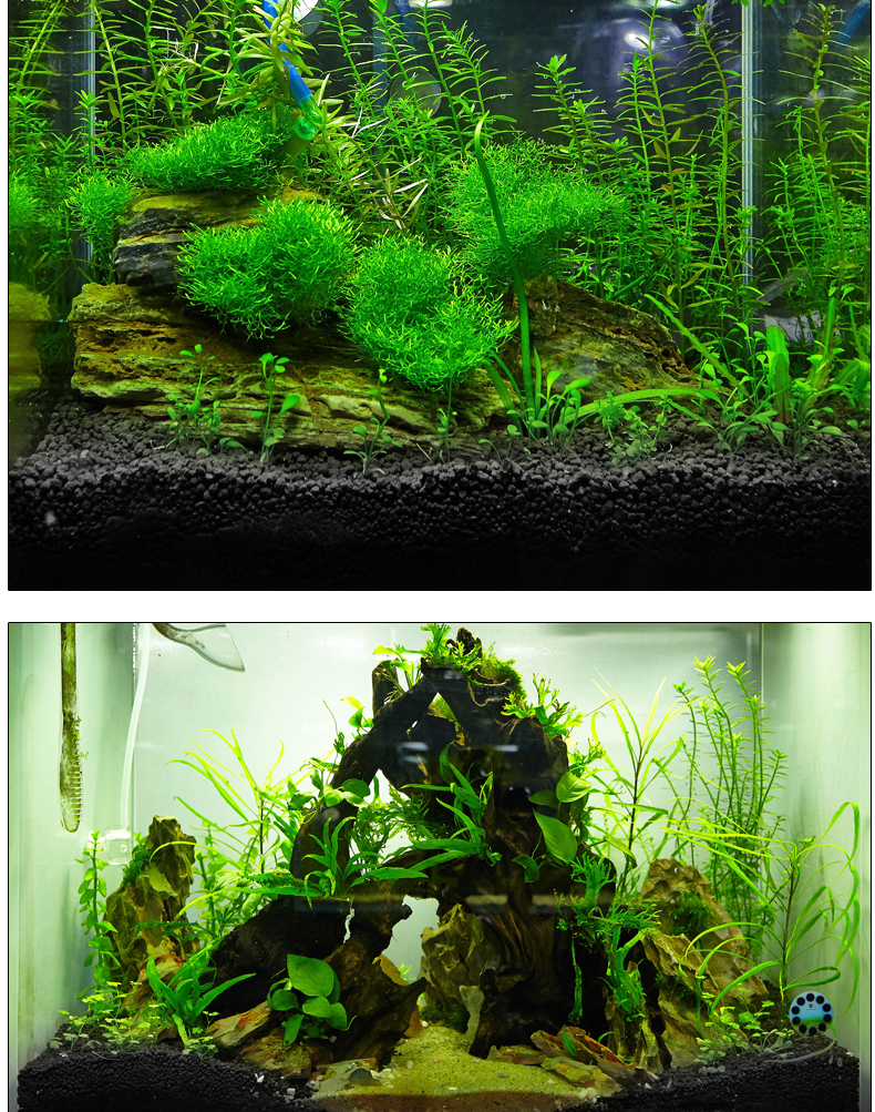 2021新款ada水草泥鱼缸造景水草泥草缸底砂ada陶粒砂基肥种植土水族箱