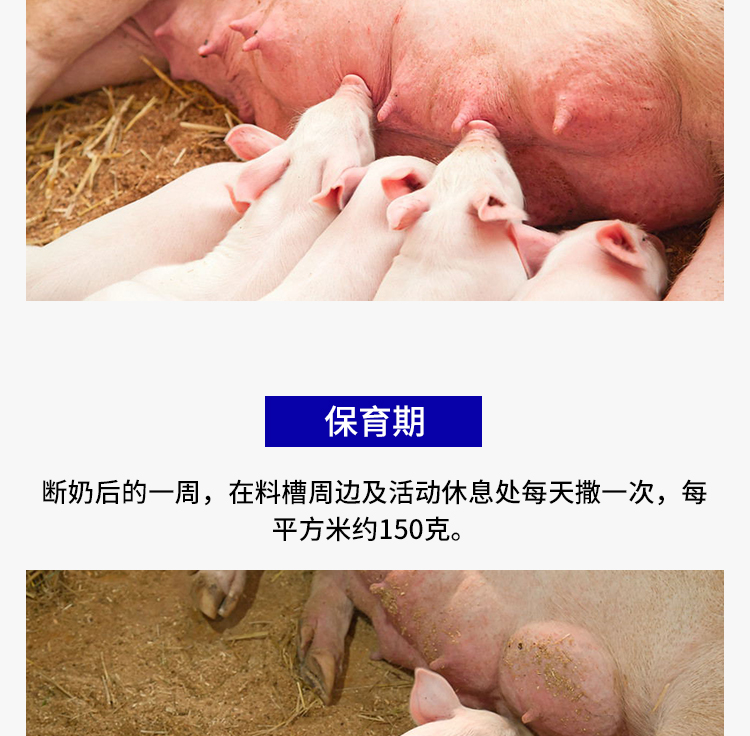 【密斯陀干爽吸潮兽用爽身粉】小仔猪接生粉兽用爽身粉养殖场母猪用
